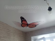 Фотография 2